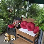 Terraceoasisberlinairport 公寓 舍讷费尔德