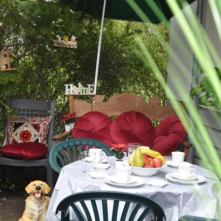 Terraceoasisberlinairport *