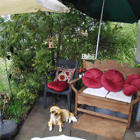 Terraceoasisberlinairport * Schoenefeld