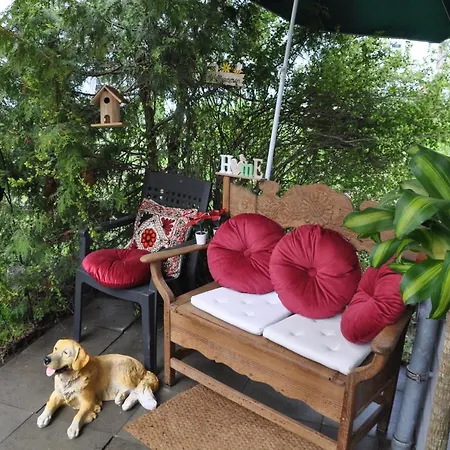 Terraceoasisberlinairport Apartamento Schönefeld