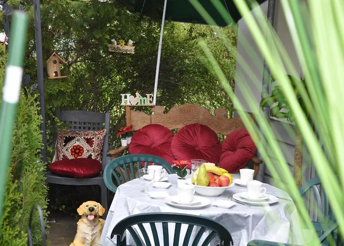 Terraceoasisberlinairport *