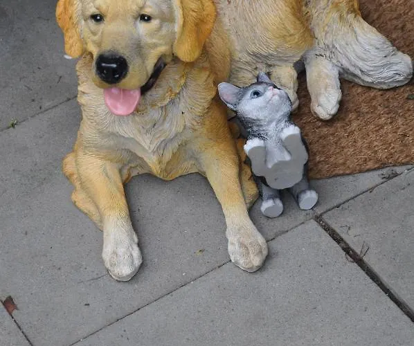 Terraceoasisberlinairport